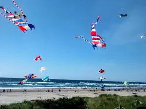 Diamond Beach