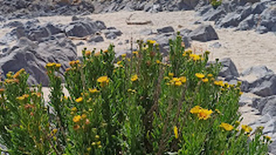 Port Eynon Salt House