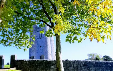 Lusk Round Tower