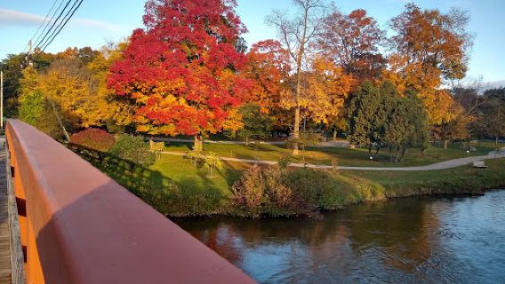 Nelson Park