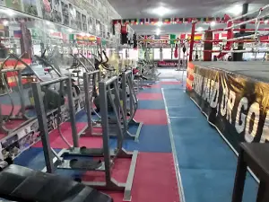 DAUD BOXING CLUB