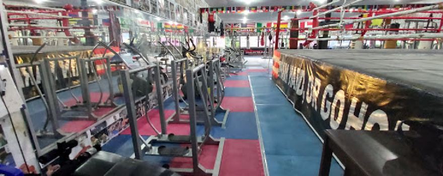 DAUD BOXING CLUB