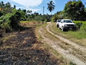 RD Fishing Limited PNG