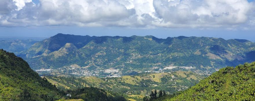 Bosque Estatal Toro Negro