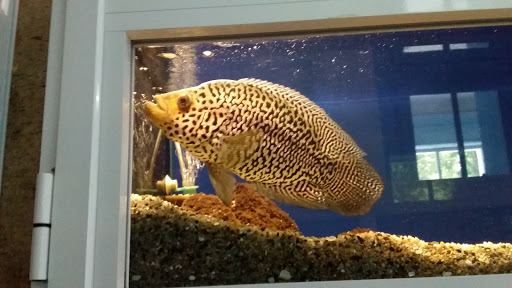 Varna Aquarium