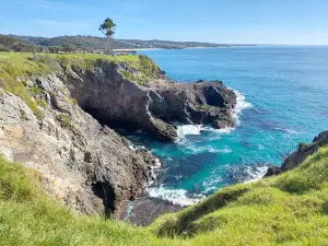 Narooma Golf Club