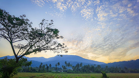 Caribbean Campsite (kg Ruat)