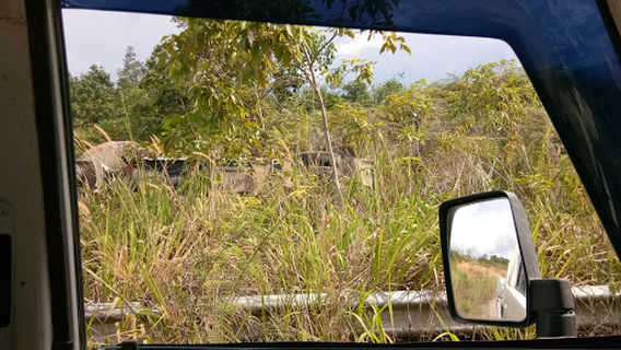 Sungai Padas