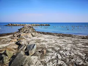 Camping-Ferienpark California