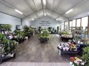 Simpsons Garden Centre