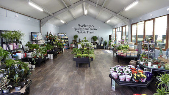 Simpsons Aberdeenshire