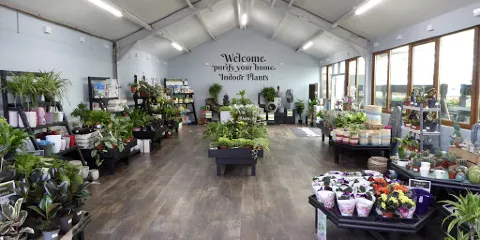 Simpsons Aberdeenshire