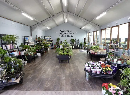 Simpsons Aberdeenshire