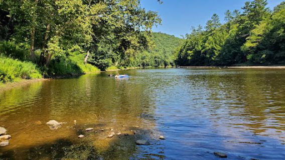 Cook Forest State Park