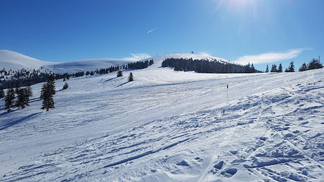 Domeniul Schiabil Sureanu