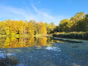 Lemon Park