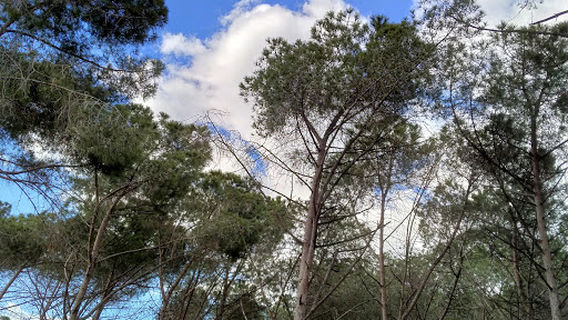 Giardini di viale Repubblica Oristano