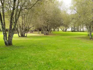 Área Recreativa De Carboeiro