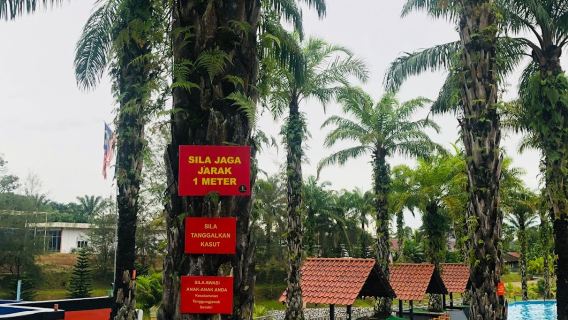Lata Seri Pulai