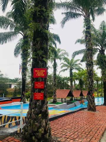 Lata Seri Pulai