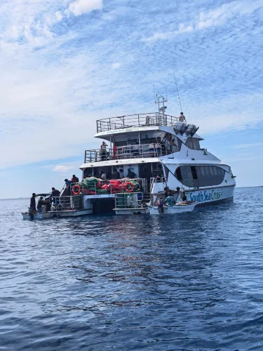 Denarau Island
