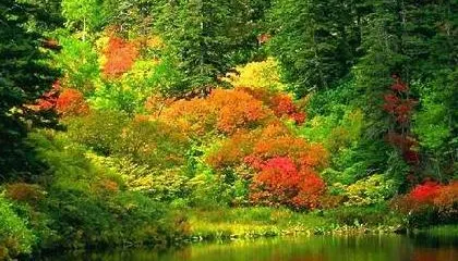 宜興市珍稀植物園