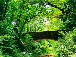 Vélorail du Bazois - Morvan