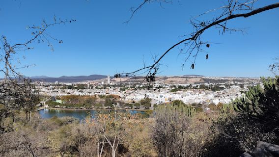 Alfalfares Park