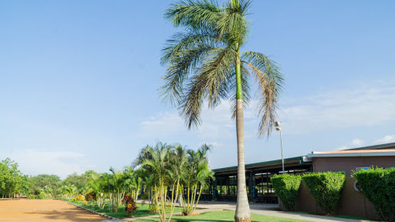 Salão de Assembleias das Testemunhas de Jeová - Viana