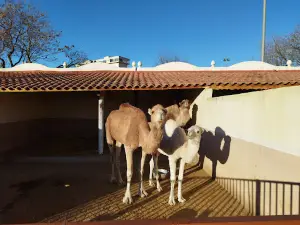 Setif Zoo