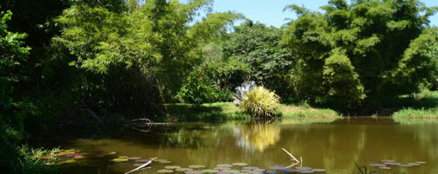Wa Samaki Ecosystems