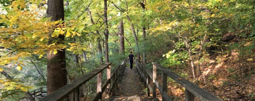 Jeffrey Park