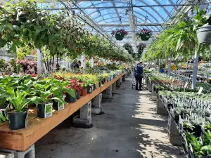 Green Acre Farm & Nursery