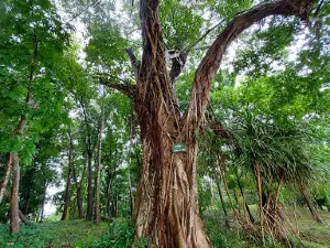 General Aung San Park
