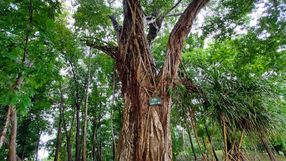 General Aung San Park