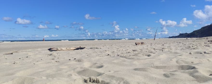 Plaża Rozewie