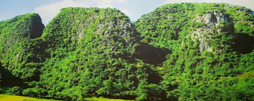 Nhà Văn Hóa Thôn 1, Xã Quảng Ngạn