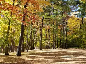 Kenwood Heritage Park