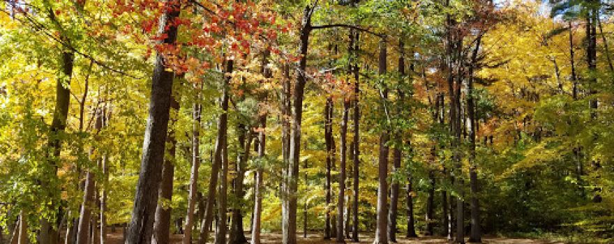 Kenwood Heritage Park