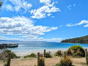 Tasman Bay National Park Lookout