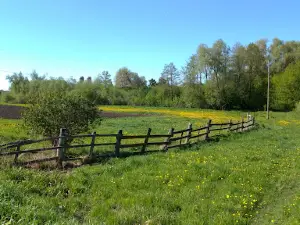 Svyatoy Istochnik Nikolaya Chudotvortsa