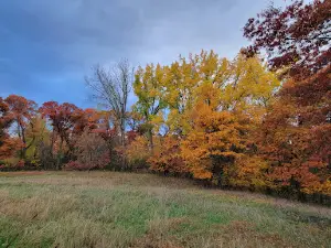 Cambridge Dog Park