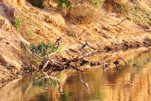 Kabeljous Nature Reserve