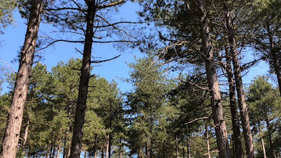 Family Camping Rozenhof