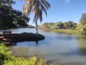 Cancha de usos multiples laguna de canachi