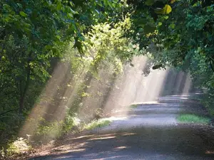 Katy Trail - Calhoun Trailhead