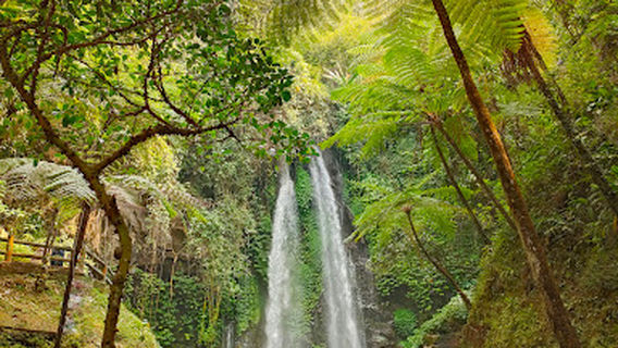 Waterfall Jumog Teak
