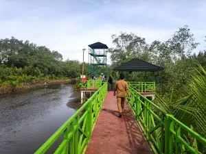 Mangrove Forest Park of Pariaman