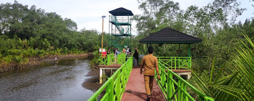 Mangrove Forest Park of Pariaman