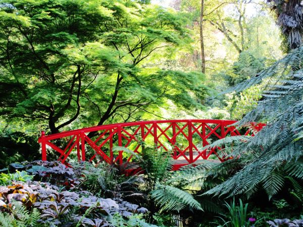 Abbotsbury Subtropical Gardens